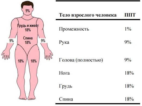 Оценка площади поверхности тела